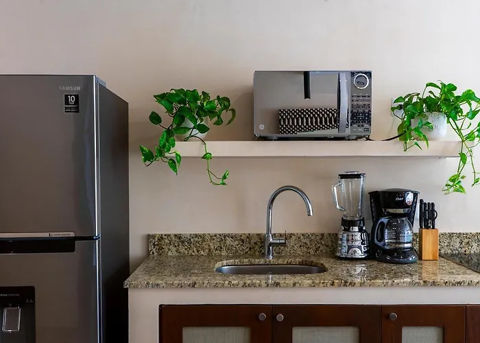 New Spacious 1br With Private Pool Near Cafes & Dining Apartment Tulum