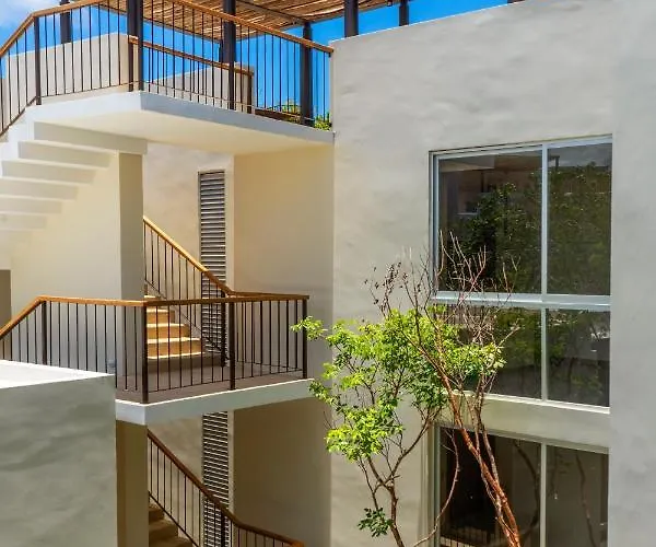 Apartment New Spacious 1br With Private Pool Near Cafes & Dining *